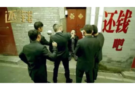 张北融资清欠服务